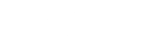 Chauvet Professional